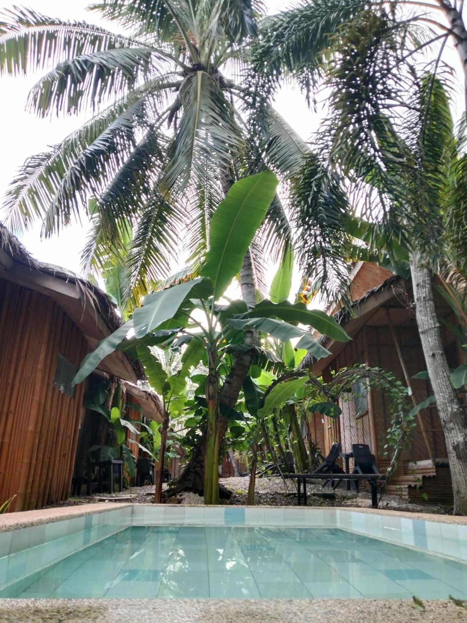 Ecostay Panglao Resort Hotel Zewnętrze zdjęcie