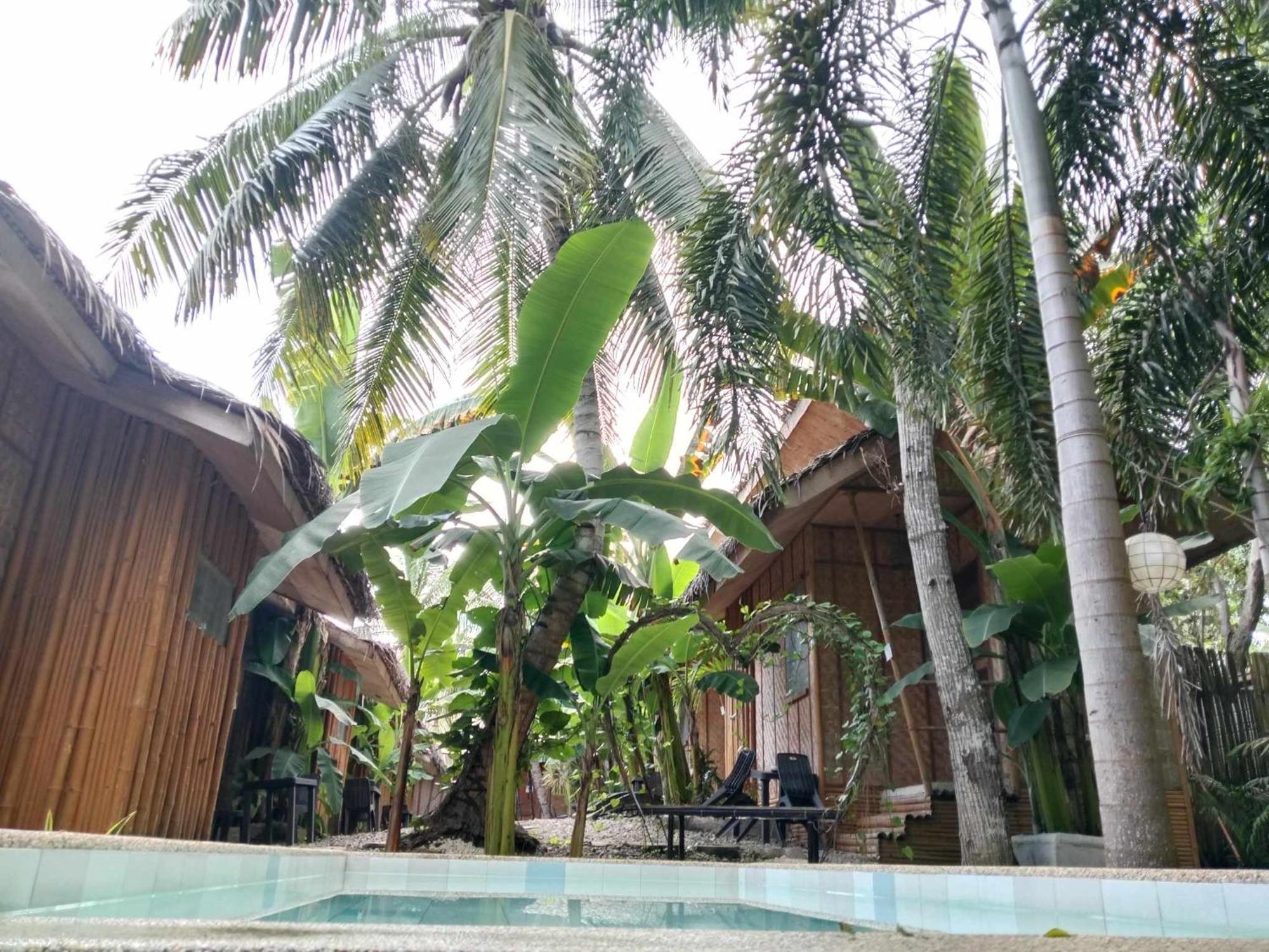 Ecostay Panglao Resort Hotel Zewnętrze zdjęcie